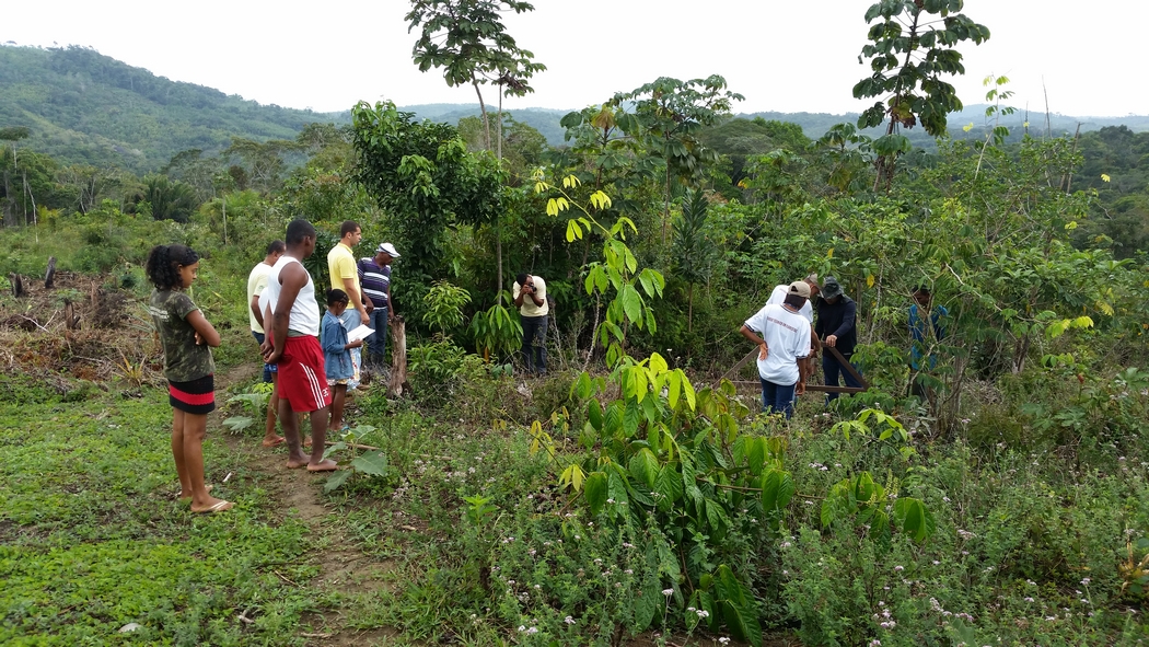 1_Inicio da implantaçao da unidade de aprendizagem(I) com participação de alunos, pesquisadores e agricultores familiares.jpg